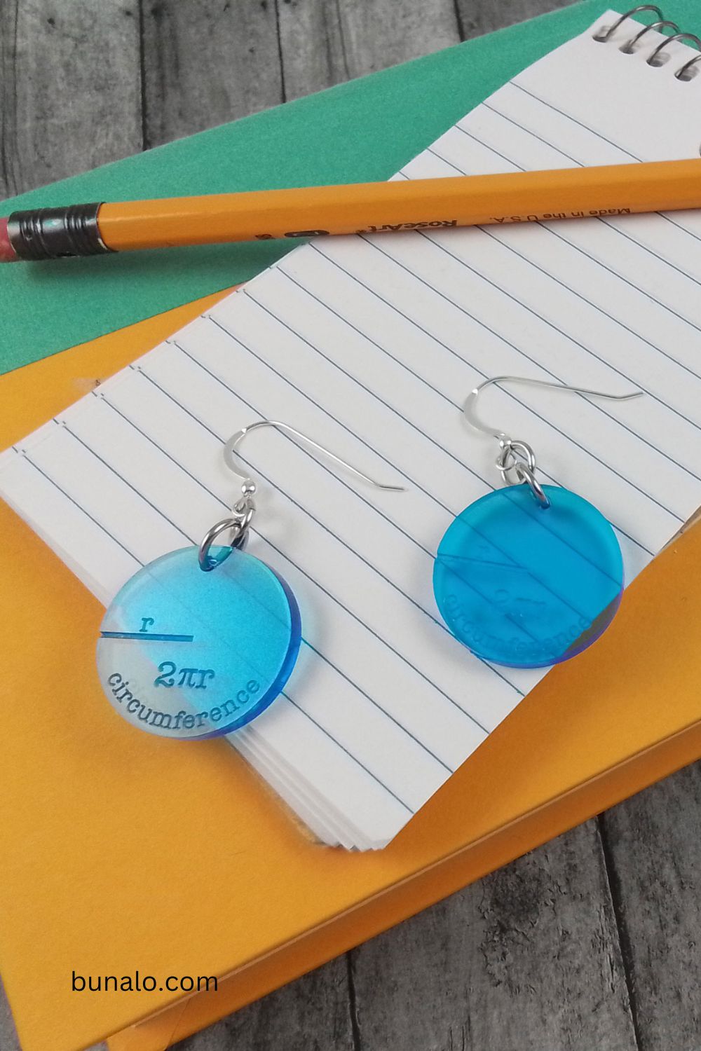 Circumference Earrings