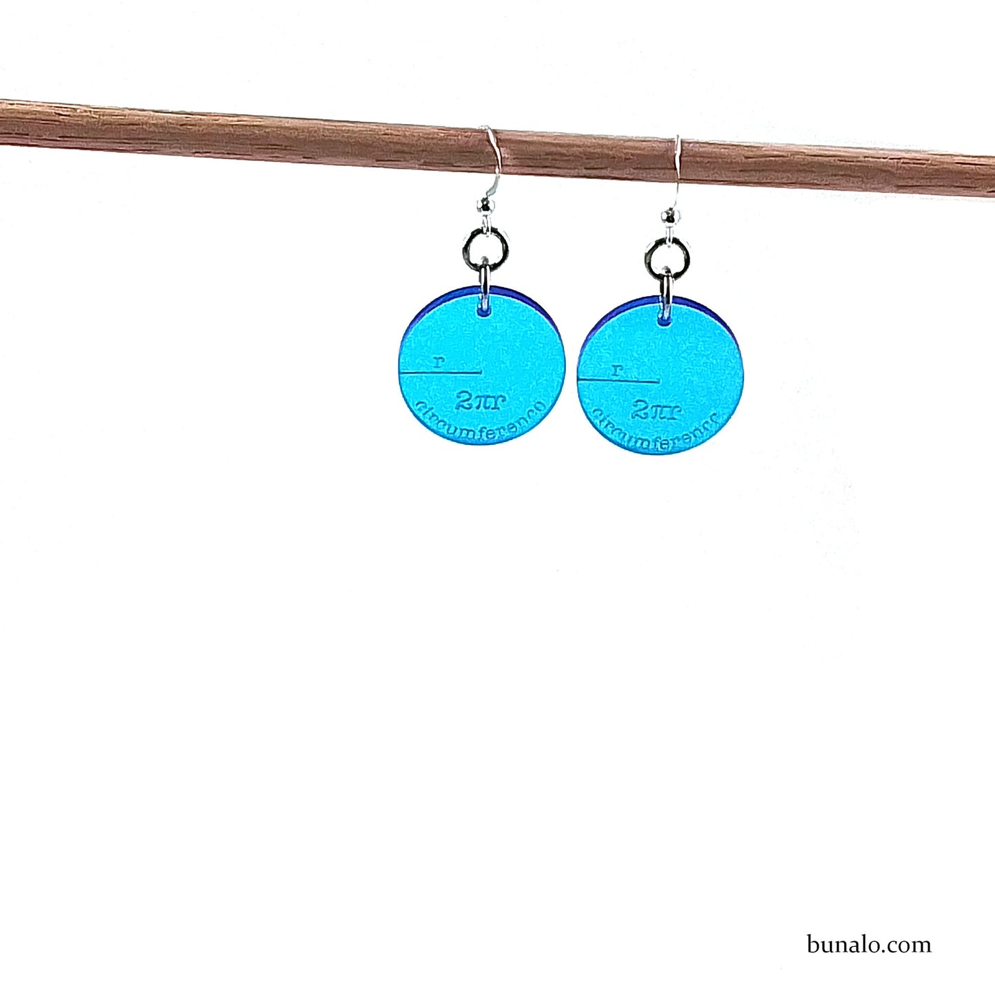 Circumference Earrings