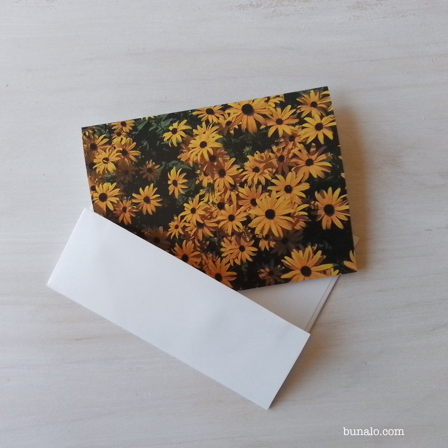 Black-Eyed Susan Photo Notecard